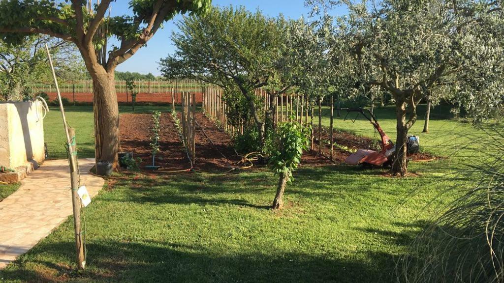 Appartment Hacienda Monica Umag Exteriér fotografie